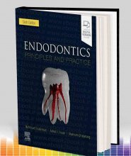 خرید اندودنتیکس ترابی نژاد | Endodontics: Principles and Practice 6th Edition
